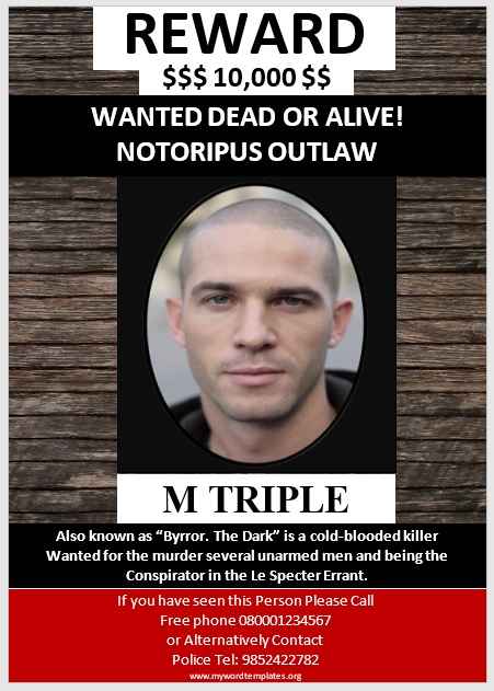 Missing Person Poster Template 08