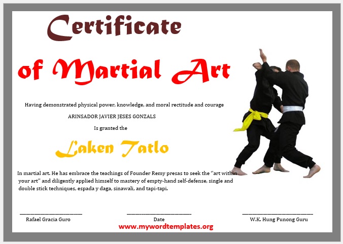 11 Free Martial Art Certificate Templates My Word Templates