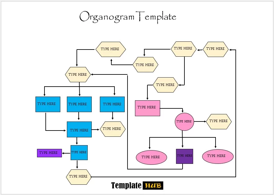 Organogram Template 62