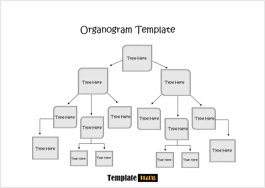 Organogram Template 67