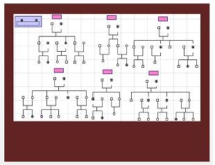 Genogram Template 25