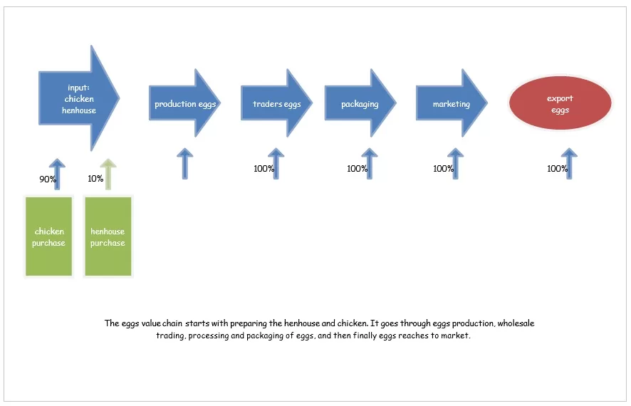 Value Chain Analysis Diagram 03