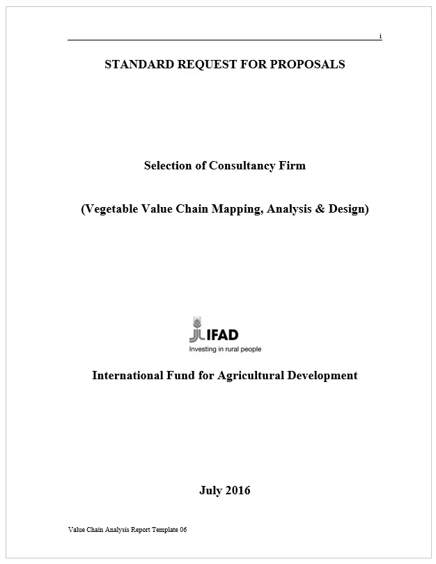 Value Chain Analysis Report Template 06